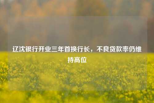 辽沈银行开业三年首换行长，不良贷款率仍维持高位