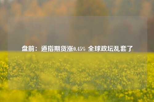 盘前：道指期货涨0.45% 全球政坛乱套了