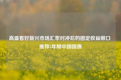 高盛看好新兴市场汇率对冲后的固定收益敞口 推荐5年期中国国债