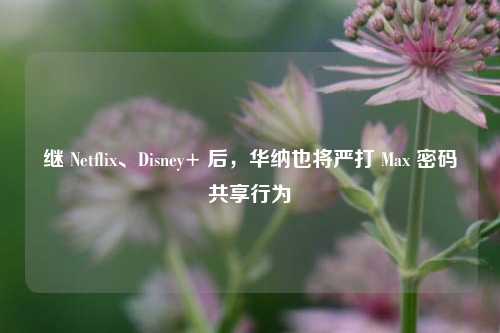 继 Netflix、Disney+ 后，华纳也将严打 Max 密码共享行为