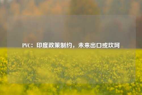 PVC：印度政策制约，未来出口或坎坷