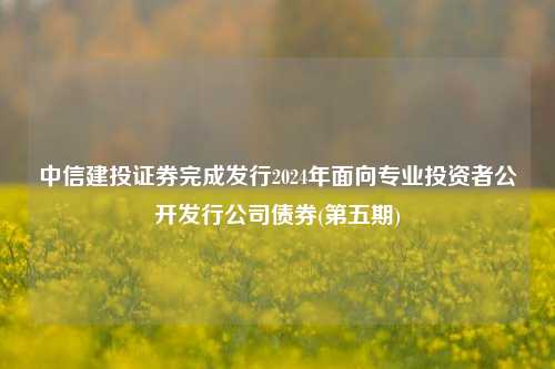 中信建投证券完成发行2024年面向专业投资者公开发行公司债券(第五期)