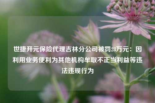 世捷开元保险代理吉林分公司被罚23万元：因利用业务便利为其他机构牟取不正当利益等违法违规行为