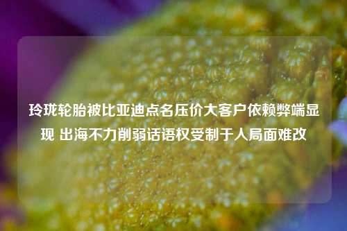 玲珑轮胎被比亚迪点名压价大客户依赖弊端显现 出海不力削弱话语权受制于人局面难改