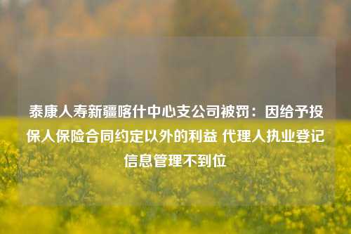 泰康人寿新疆喀什中心支公司被罚：因给予投保人保险合同约定以外的利益 代理人执业登记信息管理不到位