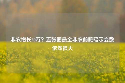 非农增长20万？五张图最全非农前瞻暗示变数依然很大