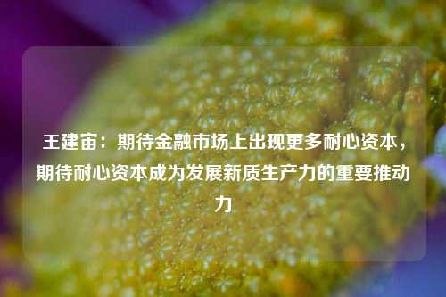 王建宙：期待金融市场上出现更多耐心资本，期待耐心资本成为发展新质生产力的重要推动力