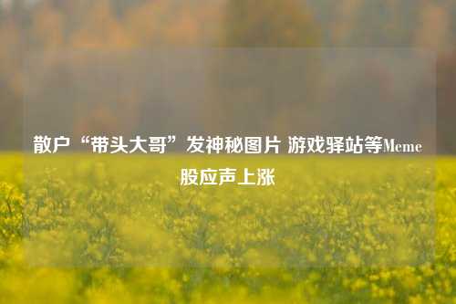 散户“带头大哥”发神秘图片 游戏驿站等Meme股应声上涨