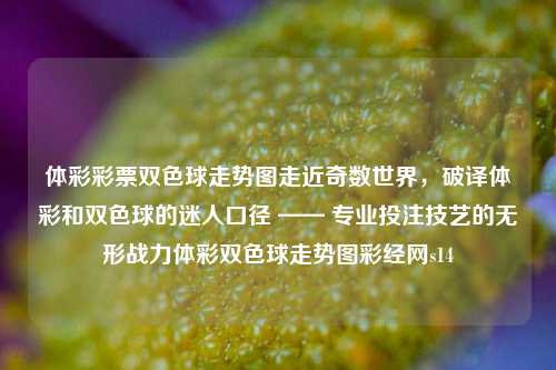 体彩彩票双色球走势图走近奇数世界，破译体彩和双色球的迷人口径 —— 专业投注技艺的无形战力体彩双色球走势图彩经网s14