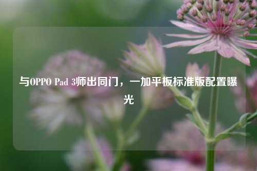 与OPPO Pad 3师出同门，一加平板标准版配置曝光