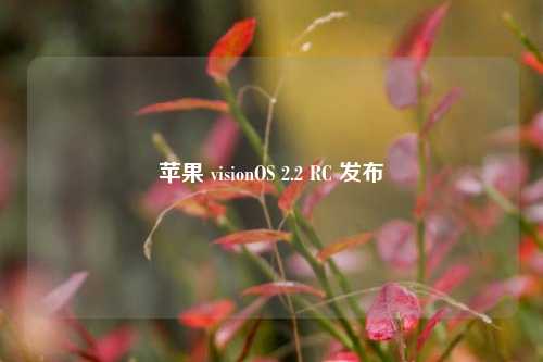 苹果 visionOS 2.2 RC 发布