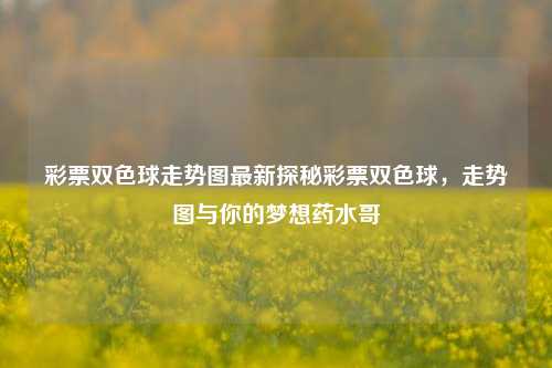 彩票双色球走势图最新探秘彩票双色球，走势图与你的梦想药水哥