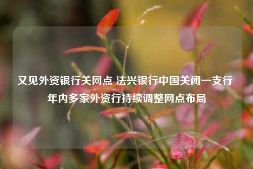 又见外资银行关网点 法兴银行中国关闭一支行 年内多家外资行持续调整网点布局