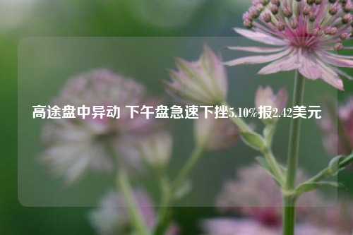 高途盘中异动 下午盘急速下挫5.10%报2.42美元