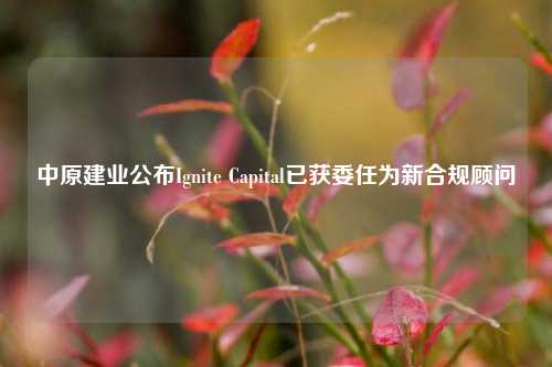 中原建业公布Ignite Capital已获委任为新合规顾问