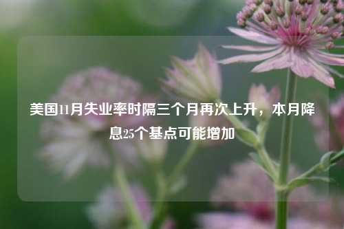 美国11月失业率时隔三个月再次上升，本月降息25个基点可能增加