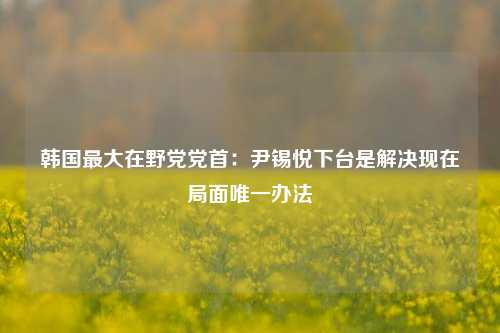 韩国最大在野党党首：尹锡悦下台是解决现在局面唯一办法