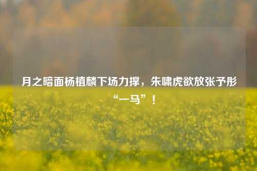 月之暗面杨植麟下场力撑，朱啸虎欲放张予彤“一马”！