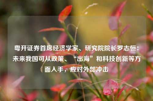 粤开证券首席经济学家、研究院院长罗志恒：未来我国可从政策、“出海”和科技创新等方面入手，应对外部冲击