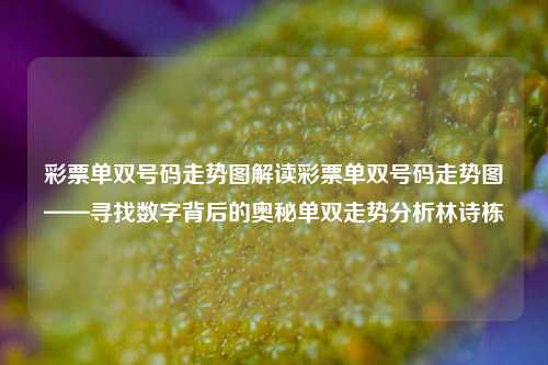 彩票单双号码走势图解读彩票单双号码走势图——寻找数字背后的奥秘单双走势分析林诗栋