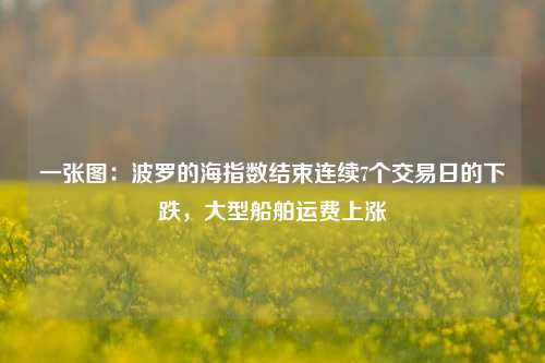 一张图：波罗的海指数结束连续7个交易日的下跌，大型船舶运费上涨