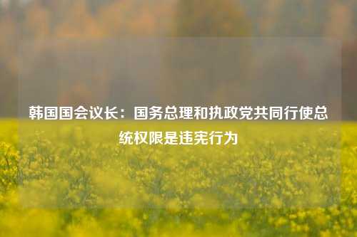 韩国国会议长：国务总理和执政党共同行使总统权限是违宪行为