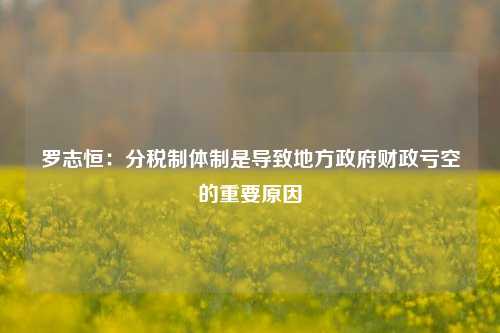 罗志恒：分税制体制是导致地方政府财政亏空的重要原因