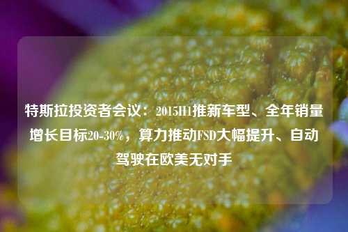 特斯拉投资者会议：2015H1推新车型、全年销量增长目标20-30%，算力推动FSD大幅提升、自动驾驶在欧美无对手