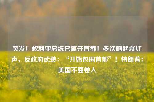 突发！叙利亚总统已离开首都！多次响起爆炸声，反政府武装：“开始包围首都”！特朗普：美国不要卷入