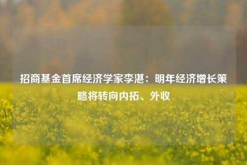 招商基金首席经济学家李湛：明年经济增长策略将转向内拓、外收