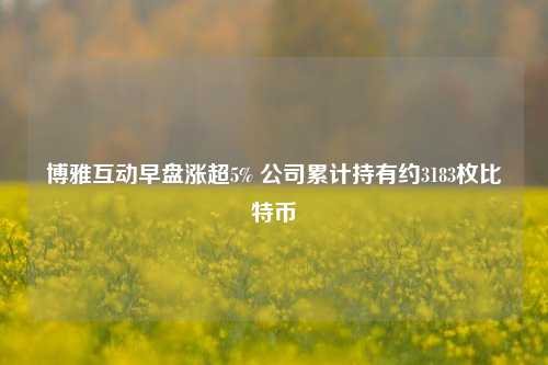 博雅互动早盘涨超5% 公司累计持有约3183枚比特币