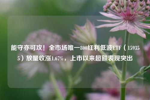 能守亦可攻！全市场唯一800红利低波ETF（159355）放量收涨1.67%，上市以来超额表现突出