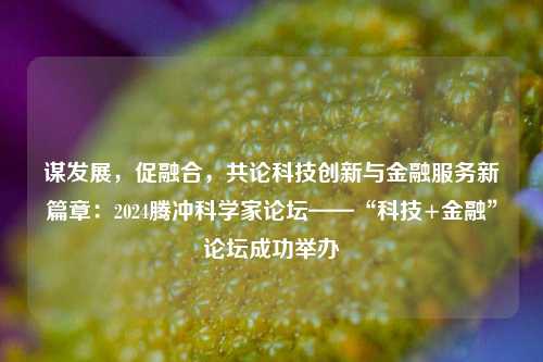 谋发展，促融合，共论科技创新与金融服务新篇章：2024腾冲科学家论坛——“科技+金融”论坛成功举办