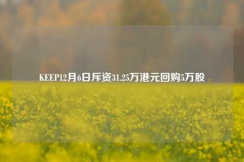 KEEP12月6日斥资31.25万港元回购5万股