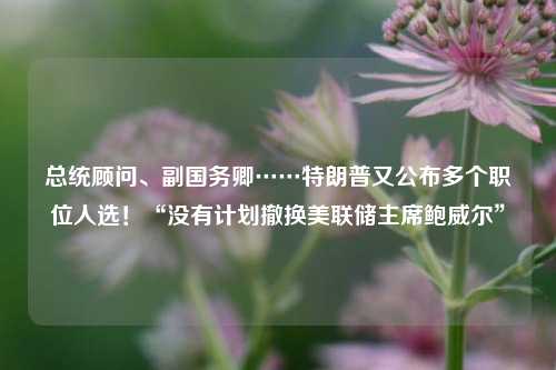 总统顾问、副国务卿……特朗普又公布多个职位人选！“没有计划撤换美联储主席鲍威尔”