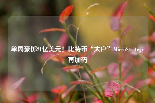 单周豪掷21亿美元！比特币“大户”MicroStrategy再加码