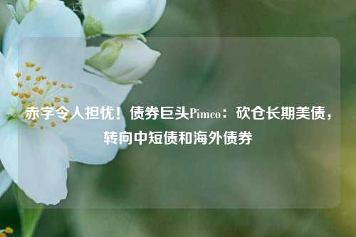 赤字令人担忧！债券巨头Pimco：砍仓长期美债，转向中短债和海外债券