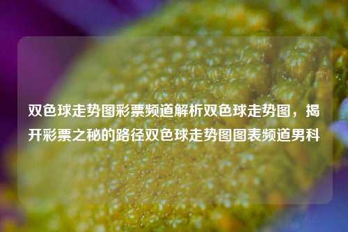 双色球走势图彩票频道解析双色球走势图，揭开彩票之秘的路径双色球走势图图表频道男科