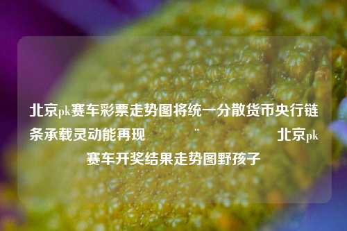 北京pk赛车彩票走势图将统一分散货币央行链条承载灵动能再现👨‍🔬北京pk赛车开奖结果走势图野孩子