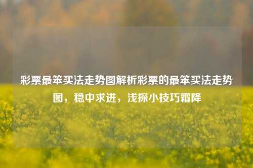 彩票最笨买法走势图解析彩票的最笨买法走势图，稳中求进，浅探小技巧霜降