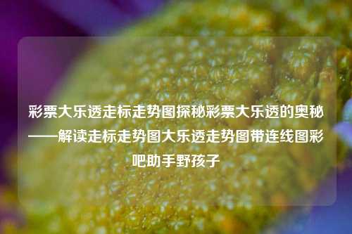 彩票大乐透走标走势图