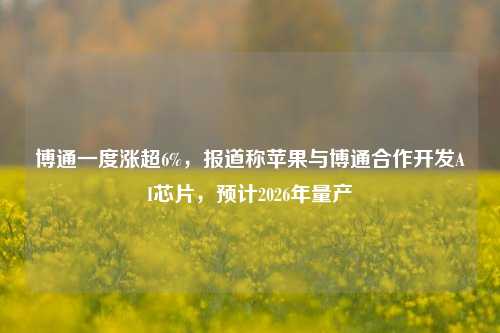 博通一度涨超6%，报道称苹果与博通合作开发AI芯片，预计2026年量产