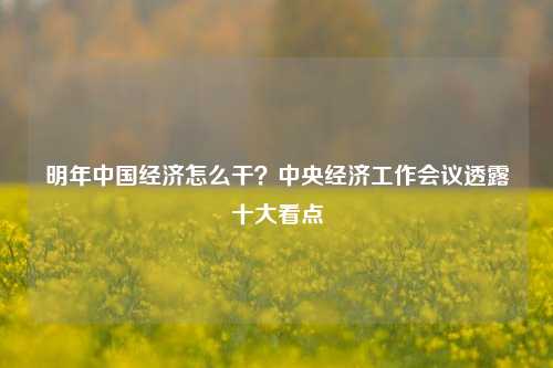 明年中国经济怎么干？中央经济工作会议透露十大看点