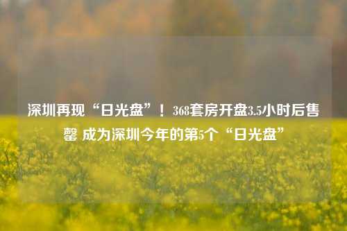 深圳再现“日光盘”！368套房开盘3.5小时后售罄 成为深圳今年的第5个“日光盘”