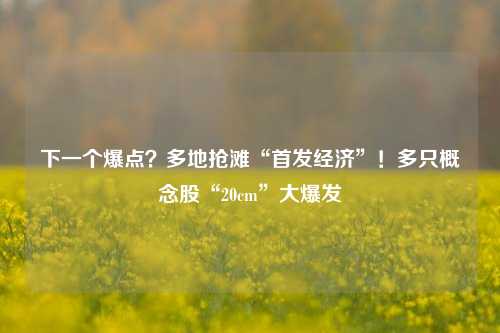 下一个爆点？多地抢滩“首发经济”！多只概念股“20cm”大爆发