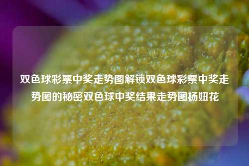 双色球彩票中奖走势图解锁双色球彩票中奖走势图的秘密双色球中奖结果走势图杨妞花