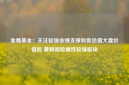 金鹰基金：关注较强业绩支撑和低估值大盘价值股 兼顾避险属性较强板块