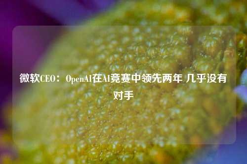 微软CEO：OpenAI在AI竞赛中领先两年 几乎没有对手