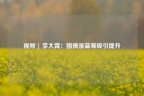 视频 | 李大霄：国债涨蓝筹吸引提升