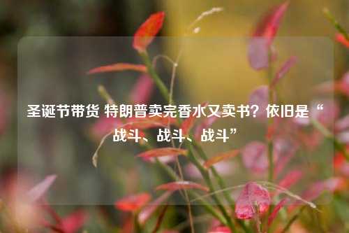 圣诞节带货 特朗普卖完香水又卖书？依旧是“战斗、战斗、战斗”